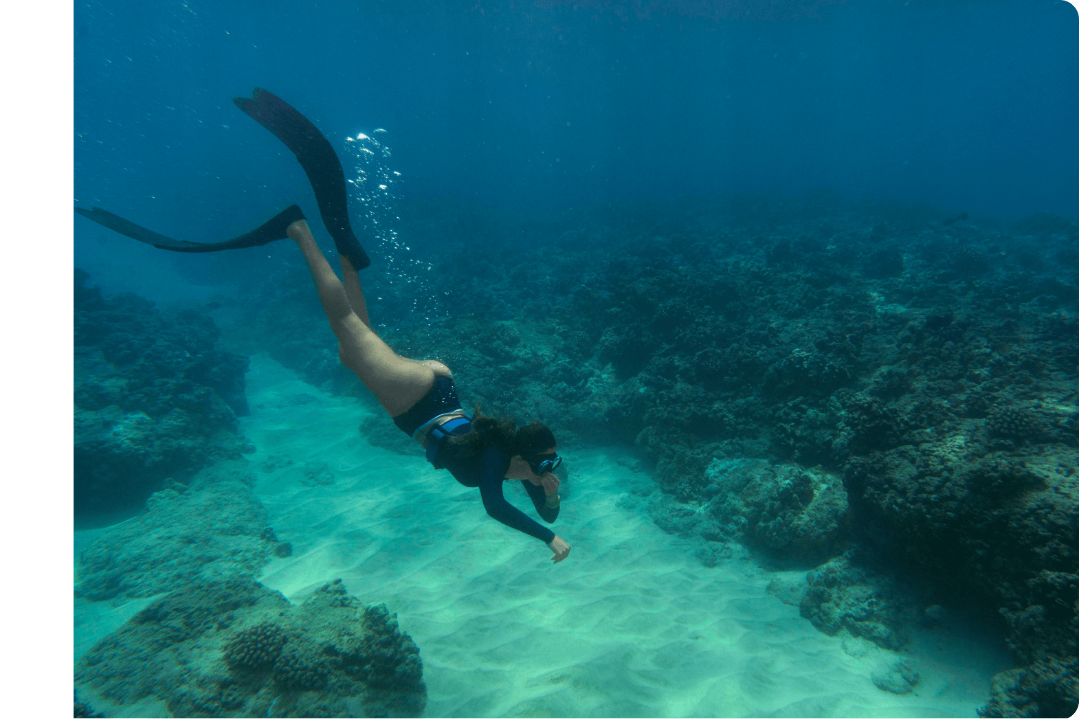 Coral Reef Exploration