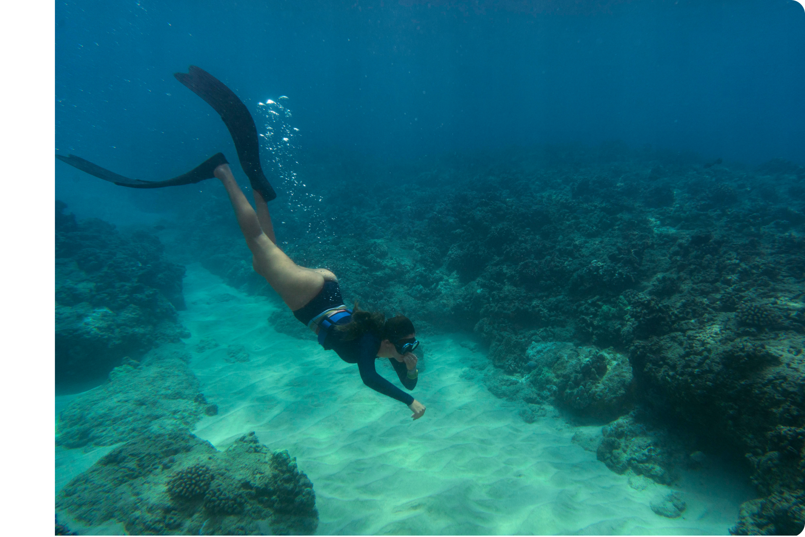 Coral Reef Exploration