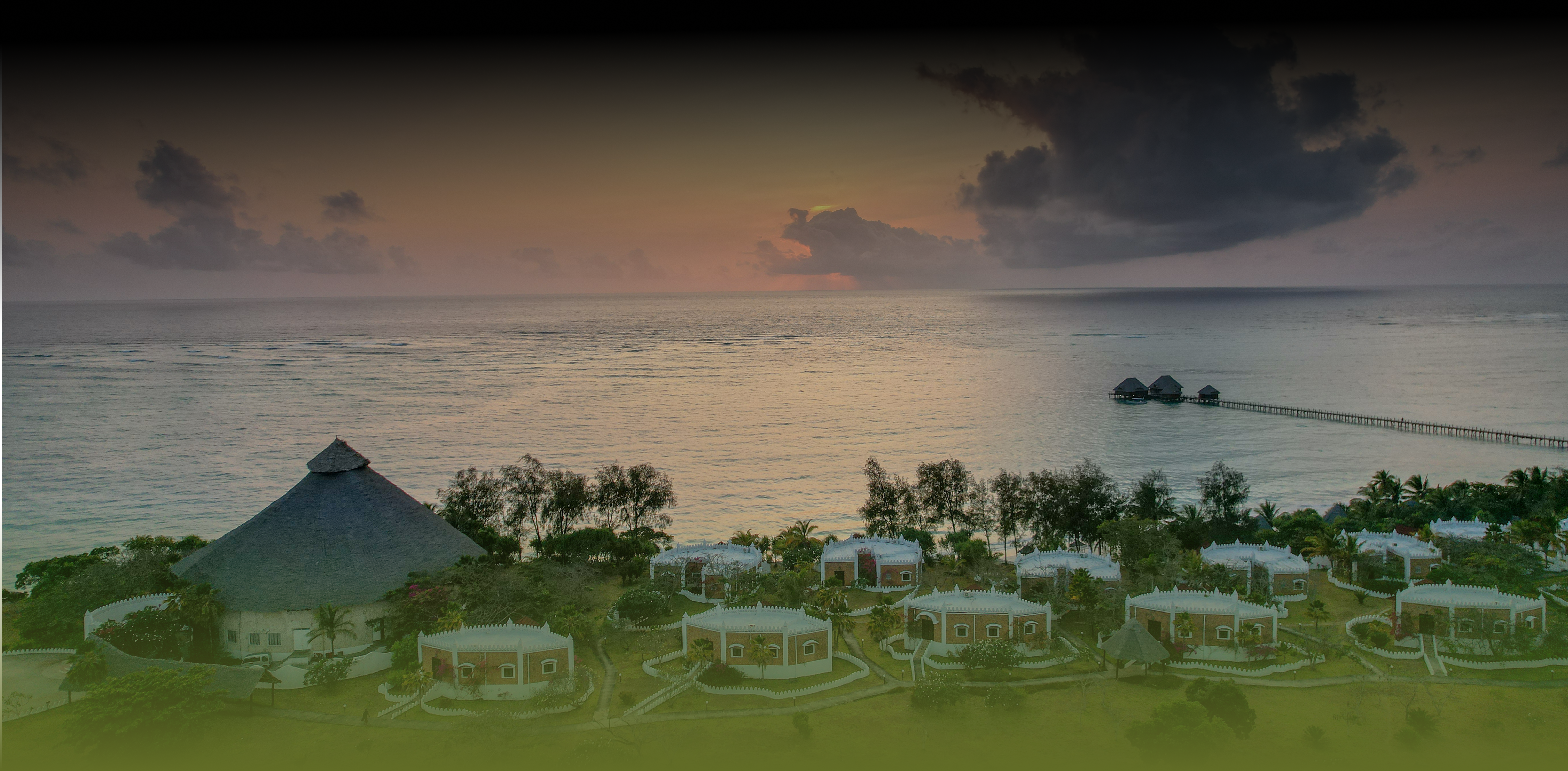 Offers Hero Background